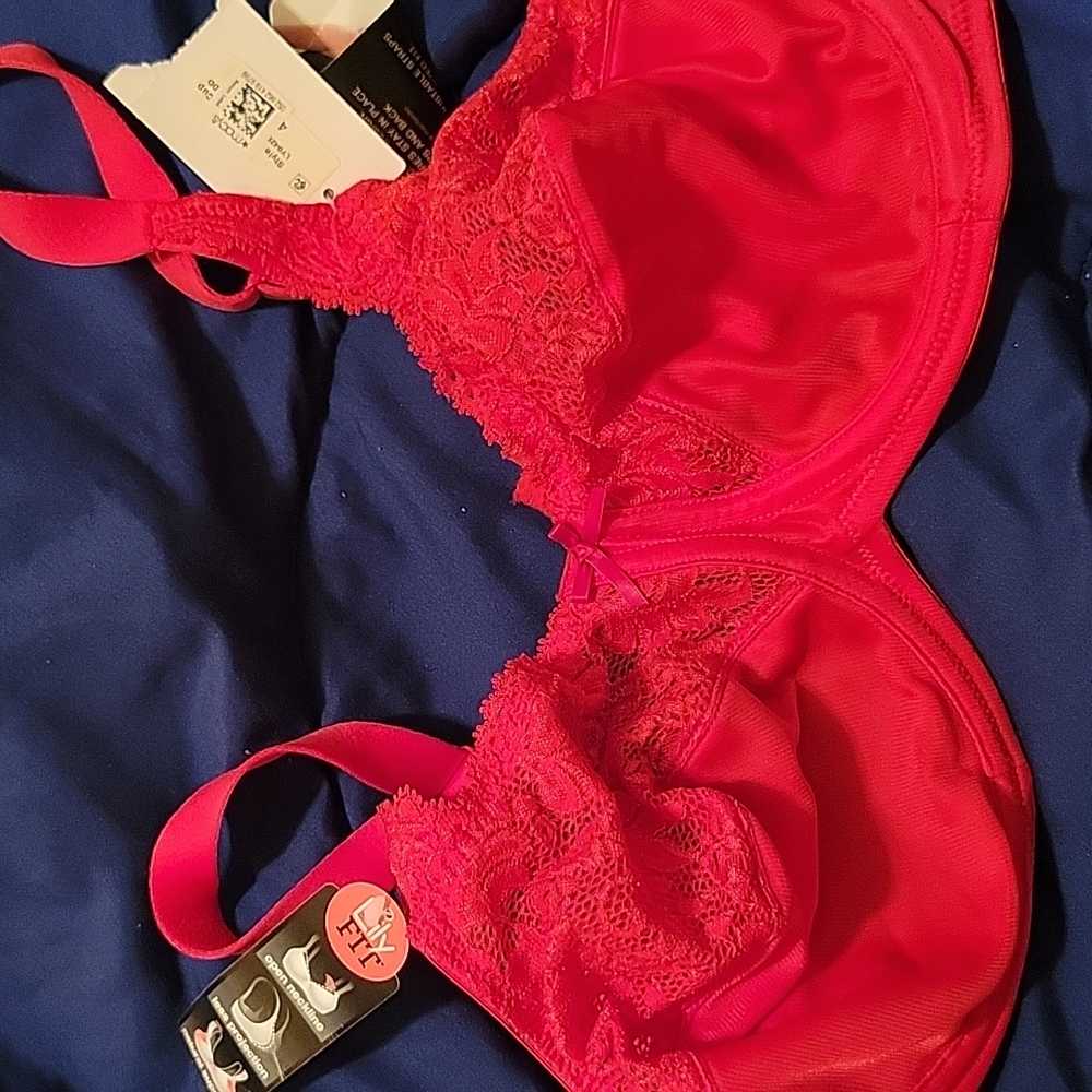 Lilyette Bali Minimizer Bra in Crimson